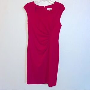 Calvin Klein Women's Red, Ruched, Horseshoe Neck, Sheath Dress